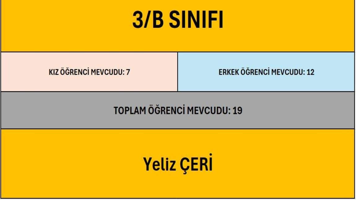 3/B