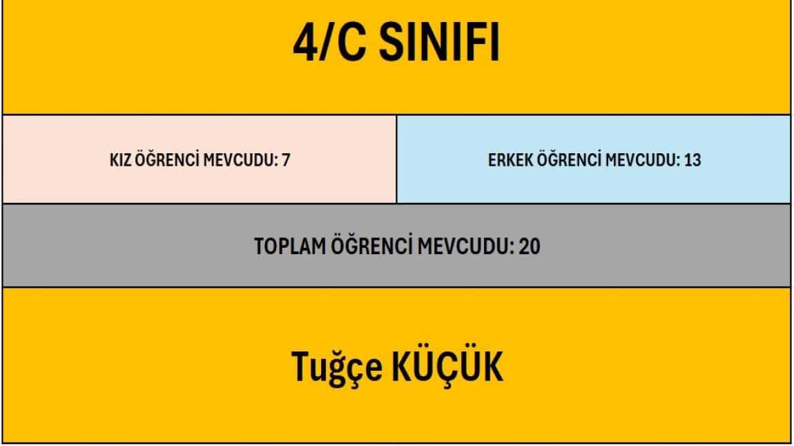 4/C